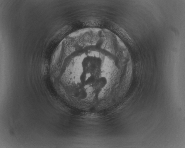 X0000116560073200912241623