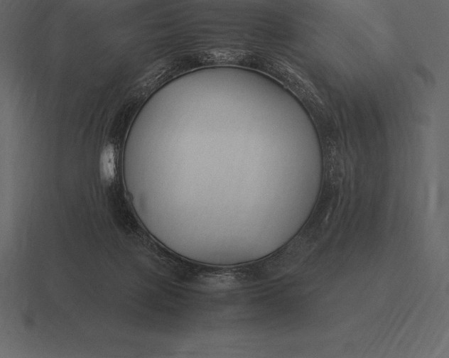 X0000116560075200912241623