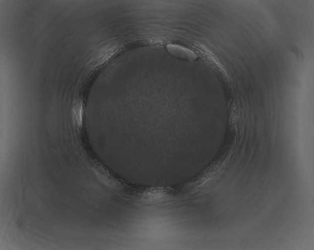 X0000116560076200912241623