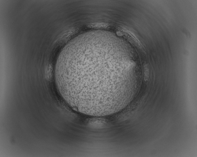 X0000116560077200912241623