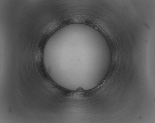 X0000116560078200912241623