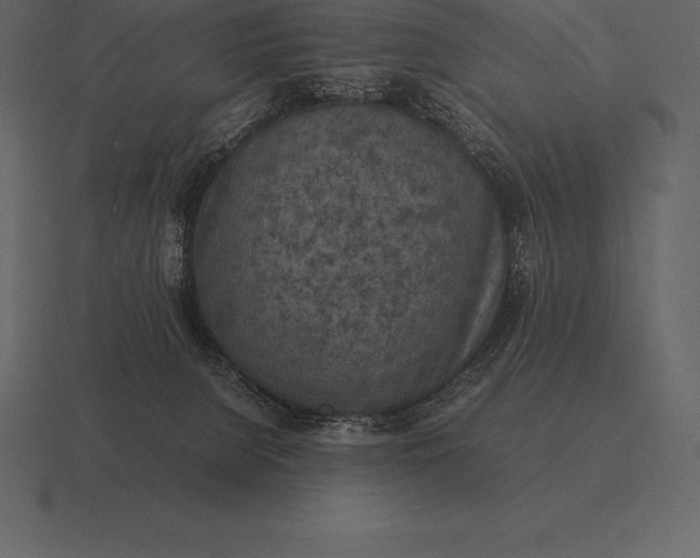 X0000116560080200912241623