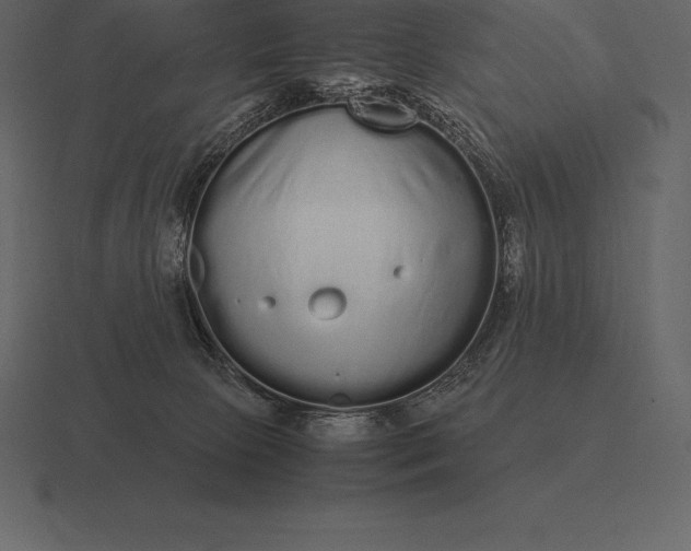 X0000116560081200912241623