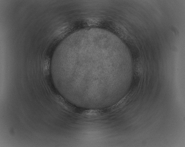 X0000116560082200912241623