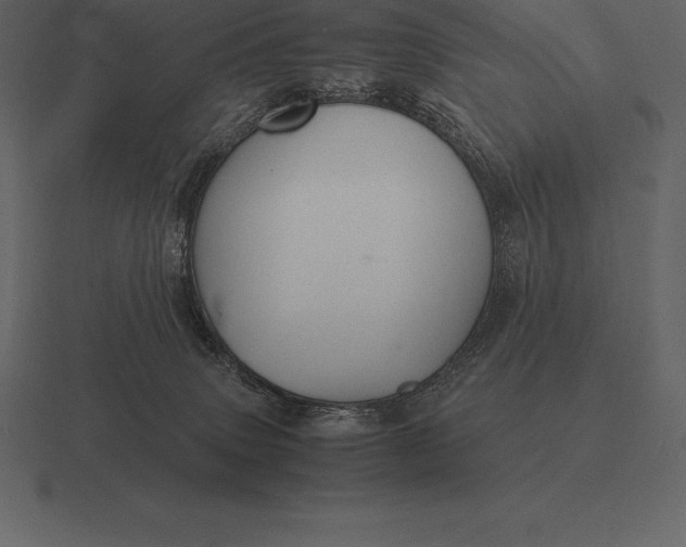 X0000116560083200912241623