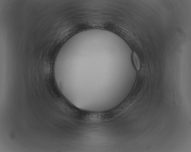 X0000116560084200912241623