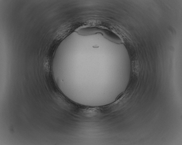 X0000116560086200912241623