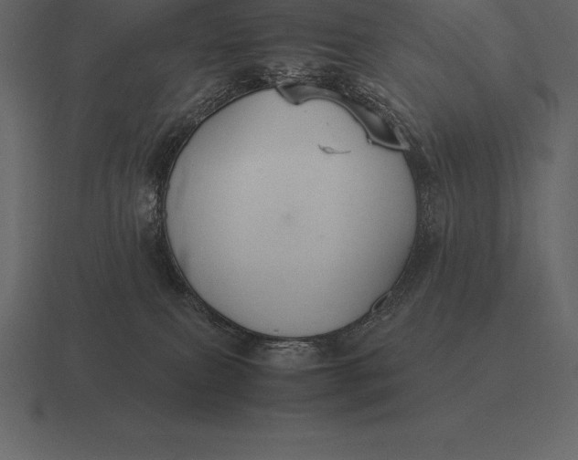 X0000116560087200912241623