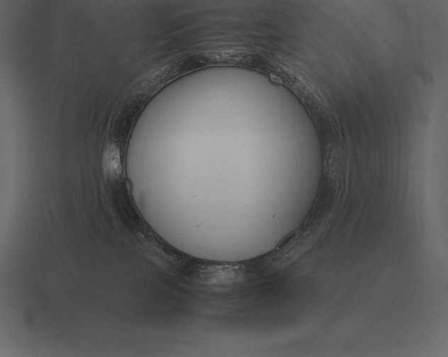 X0000116560089200912241623