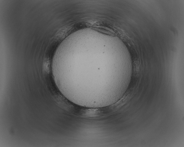 X0000116560090200912241623