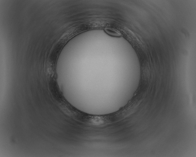 X0000116560091200912241623