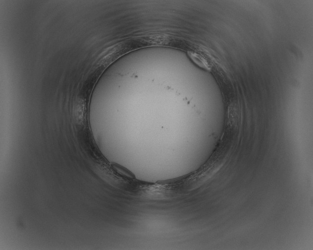 X0000116560092200912241623