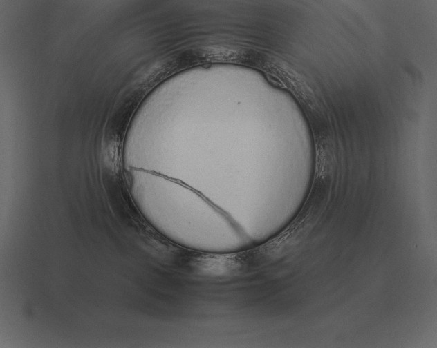 X0000116560093200912241623