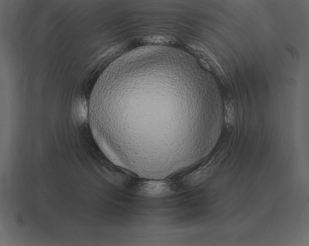 X0000116560095200912241623