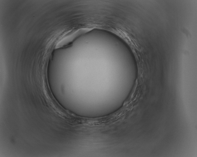 X0000116560097200912241622