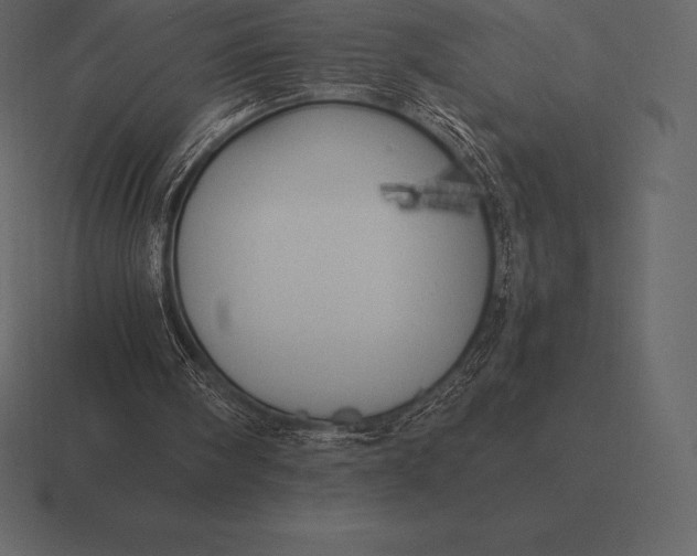 X0000116560098200912241622