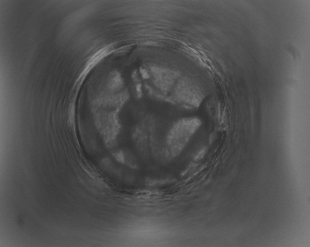 X0000116560099200912241622