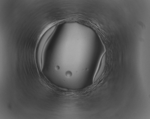 X0000116560100200912241622