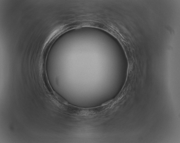 X0000116560101200912241622