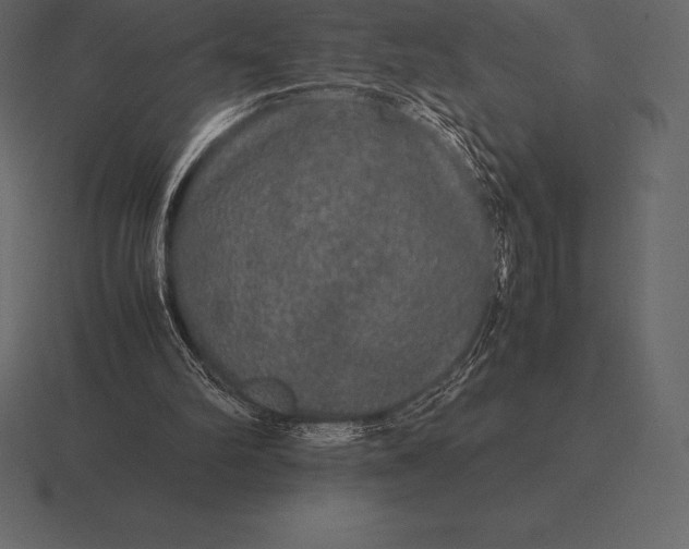 X0000116560102200912241622