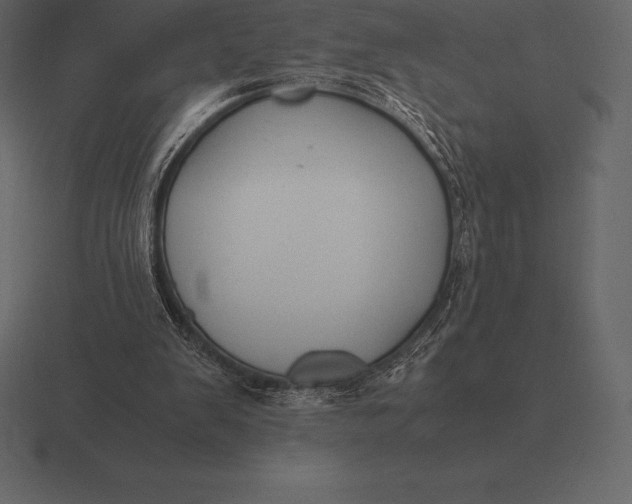 X0000116560103200912241622