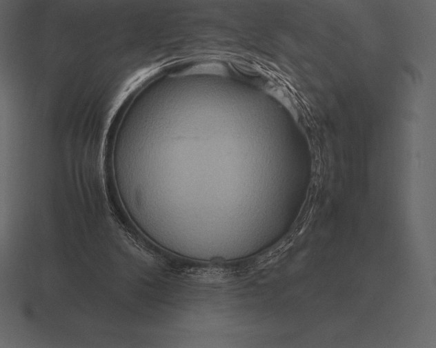 X0000116560104200912241622