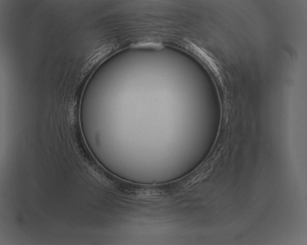 X0000116560105200912241622