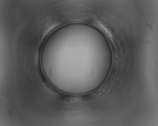 X0000116560107200912241622