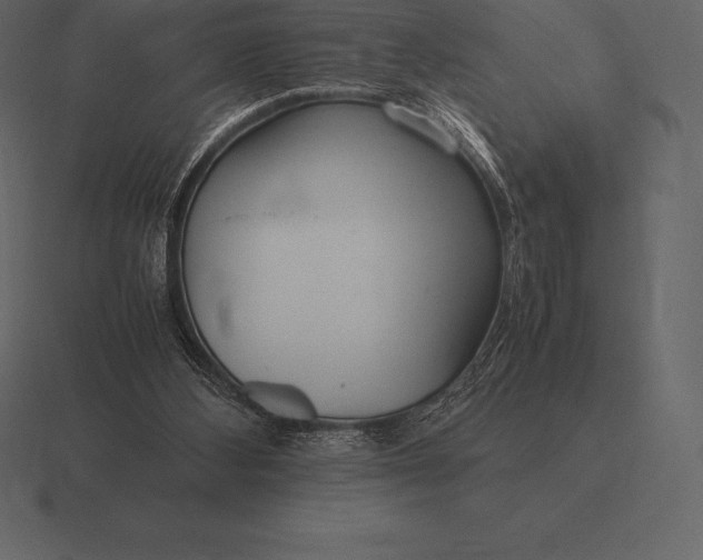 X0000116560108200912241622