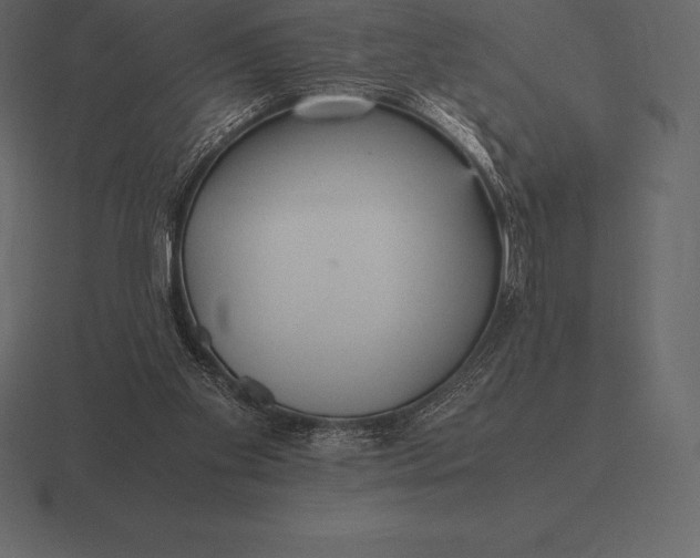 X0000116560109200912241622