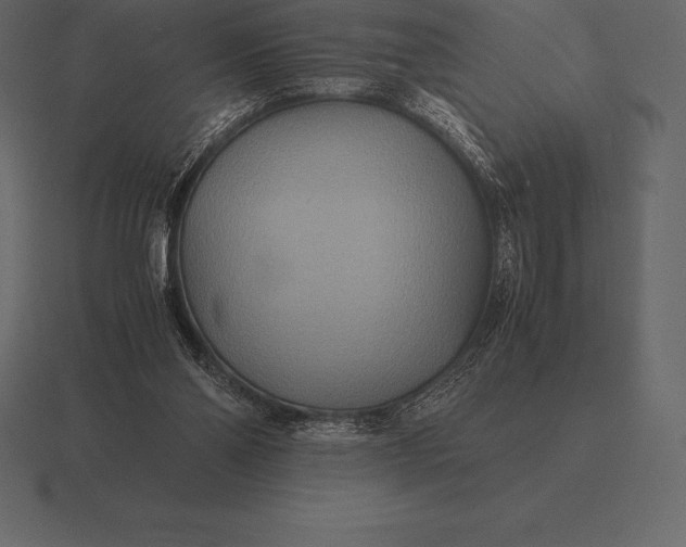 X0000116560110200912241622