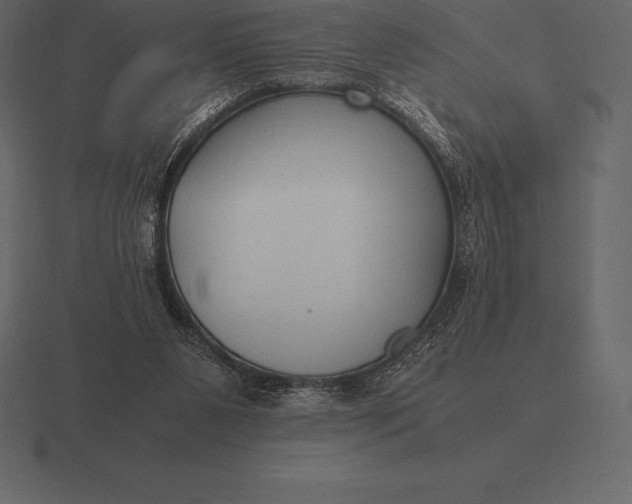 X0000116560111200912241622