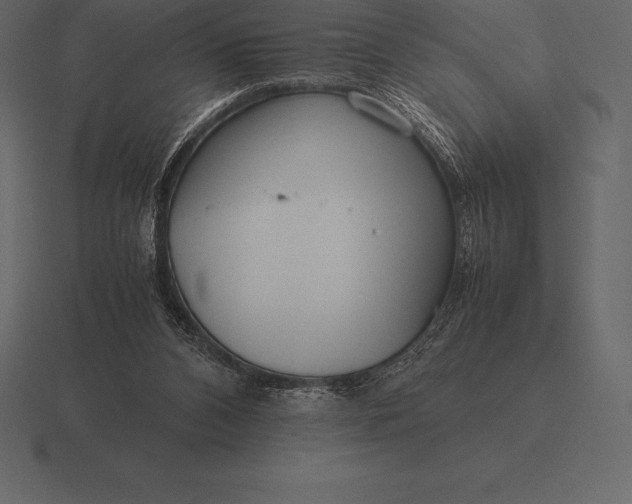 X0000116560112200912241622