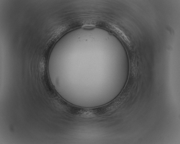 X0000116560113200912241622