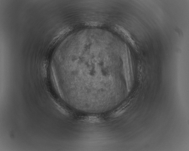 X0000116560114200912241622