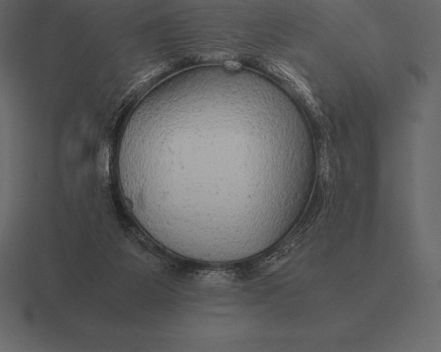 X0000116560115200912241622