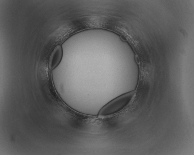 X0000116560117200912241622