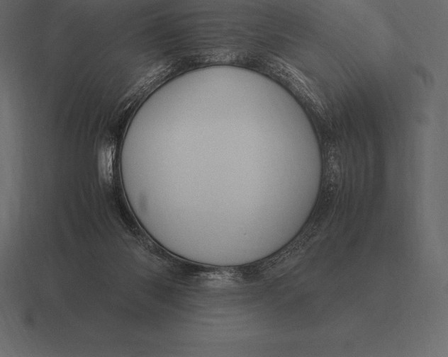 X0000116560118200912241622