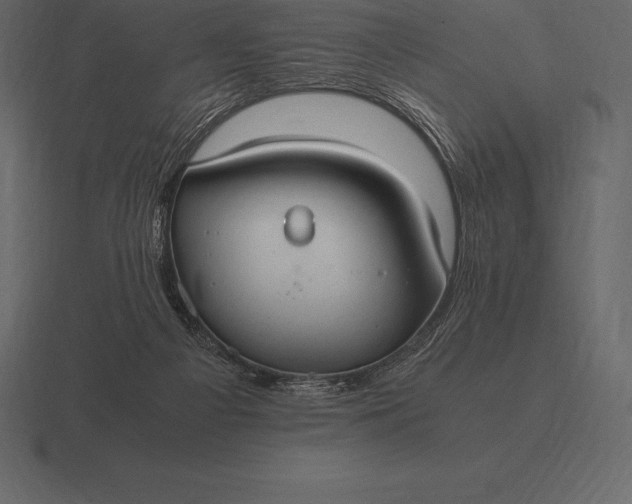 X0000116560121200912241622