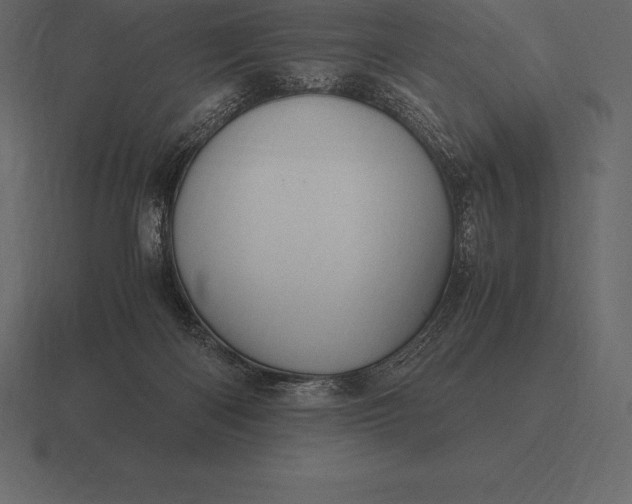 X0000116560122200912241622