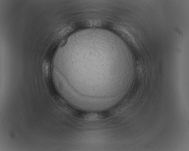 X0000116560123200912241622