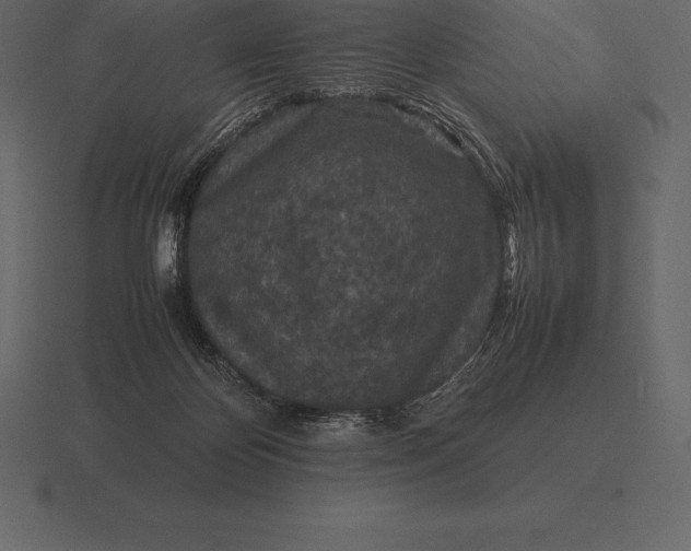 X0000116560124200912241622