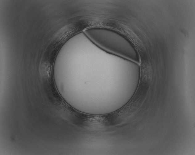 X0000116560125200912241622