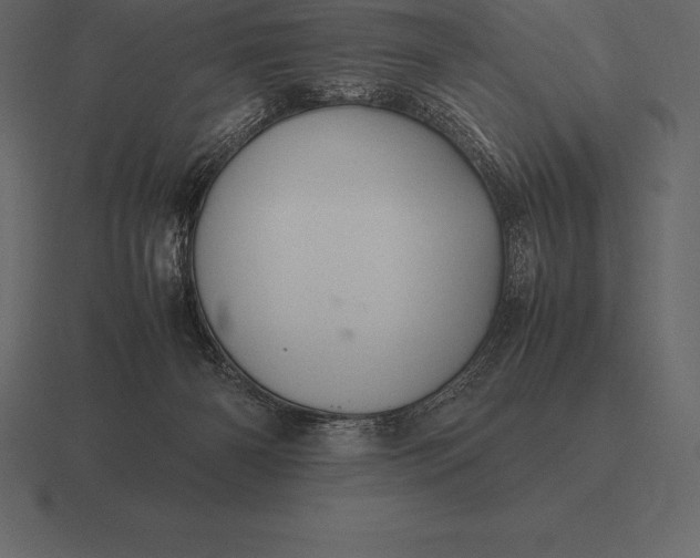 X0000116560126200912241622