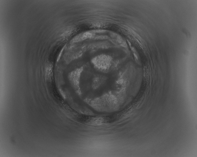 X0000116560127200912241622