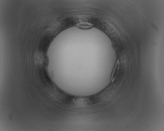 X0000116560129200912241622