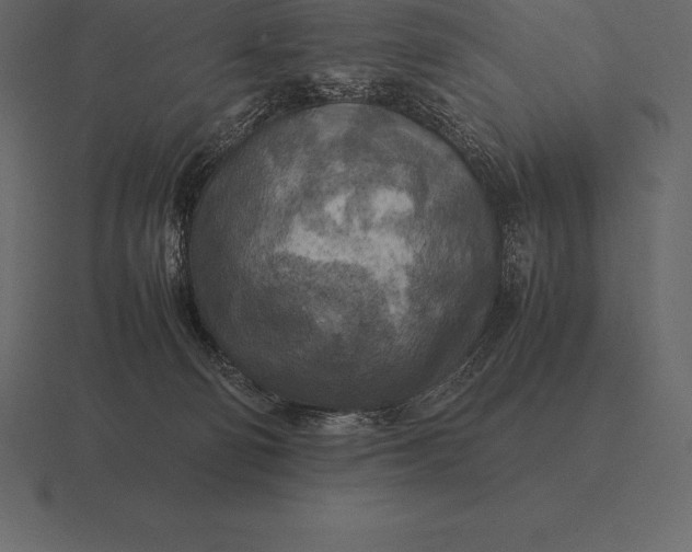 X0000116560130200912241622