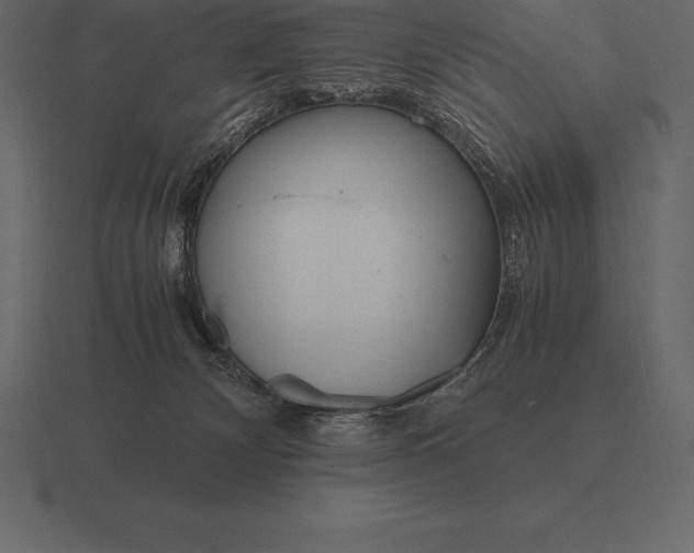 X0000116560132200912241622