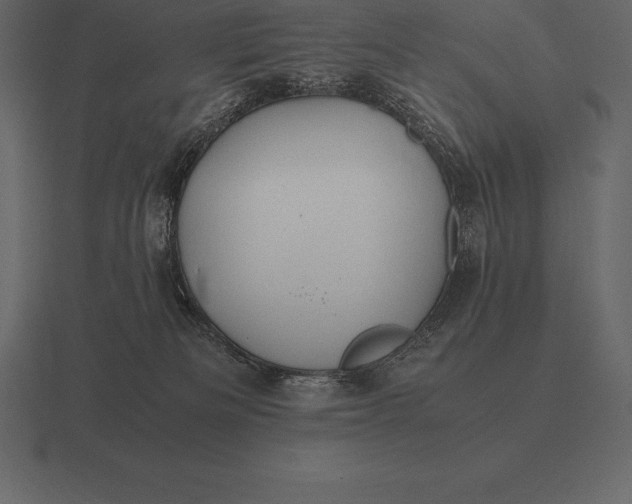 X0000116560133200912241622