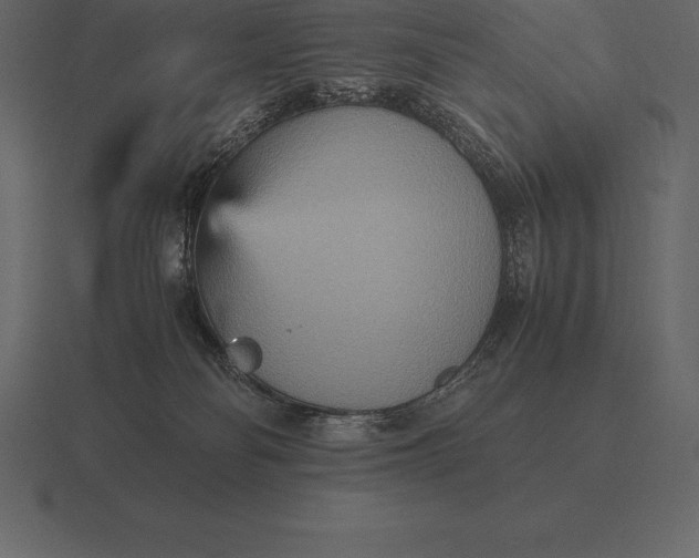 X0000116560134200912241622